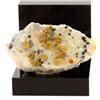 A Bijoux Collezione Di Minerali. Sphalérite E Siderite Su Dolomite. 104,3 Ct. Rivet Quarr
