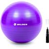 BILDER - Fitball Antiscivolo con Pompa di Gonfiaggio Inclusa, Palla Fitness Pilates Resistente e Antiscoppio per Riscaldamento, Esercizi, Ginnastica e Yoga - Attrezzi Palestra Casa e Ufficio, 65 cm