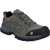 Hi-Tec Campana Low WP, Scarpe da Escursionismo Uomo, Miele d'Ol, 44 EU