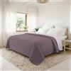 Italian Bed Linen Trapunta Matrimoniale Primaverile in Microfibra, Copriletto Estivo Double Face - Trapuntino 100gr Morbido e Leggero - Coperta Letto Qualità Premium 250x250 cm - ELDERBERRY/ORCHIDEA