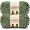 Caron Simply Me - Filato peridoto, confezione da 2 pezzi, 160 g, 62% acrilico, 20% nylon, 18% lana, #5 Bulky, 160 m, per maglia/uncinetto