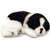 Perfect Petzzz Border Collie Il Cucciolo Che Respira The Original Breathing Pet New Huggable Soft Version Plush Toy Gift Bundle