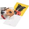 Draeger Paris - Petit calendrier mural Chiens - 2023