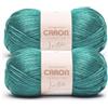 Caron Simply Me Luster Teal Jade Yarn - 2 confezioni da 170 g/6 oz - 65% nylon, 35% acrilico - #4 pettinato (medio) - 300 metri - per maglia/uncinetto