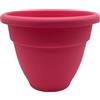 The HC Companies Fioriere, Lampone, 30,5 cm
