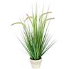 Flair Flower Erba artificiale a coda di volpe in vaso da 63 cm erba artificiale decorativa panicoideae erba dolce Setaria