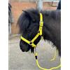 Equipride Capezza riflettente e guinzaglio in neoprene imbottito Full-Shetland giallo neon (Cob)