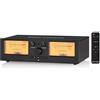 Nobsound DoukAudio VU3PRO - Doppio metro analogico VU, interruttore amplificatore a 2 vie, selezione degli altoparlanti, amplificatore audio, 2 in 2 -OUT, con pickup MIC e display DB Panel