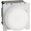 Bticino K4380 Torcia da Parete Living Now, Lampada Estraibile Ricaricabile e con Accensione Automatica in Caso di Blackout, Interruttore ON/OFF, Luce LED, Basso Consumo, 2 Moduli