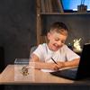 Scatola Per Il Risparmio Di Denaro Cassa Soldi Portatile Contenitore Monete