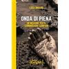 I dobloni Onda di piena. Un'indagine per il commissario Campani