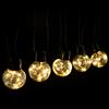 Aigostar Catena luminosa 160 Led decorativa a energia solare 10 metri 20 lampadine a sfera trasparenti Bianco caldo Aigostar