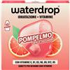 WATERDROP MICRODRINK GmbH WATERDROP MICRODRINK POMPELMO 12 CUBETTI