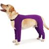 PUMYPOREITY Tuta da Recupero Cani, Leggero Body Posteriore Manica Recupero Cani Tuta Chirurgica Maglia Post Operazione Protettivo per Recupero Postoperatorio Coprire Zampa per Impedire Leccare Ferite(Viola, XL)