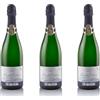 Fontanafredda Alta Langa DOCG Brut Limited Edition 2021 - Spumante Metodo Classico - Pinot Nero e Chardonnay con affinamento di oltre 30 mesi - 12,5% vol. 0,75l (3, 2250, millilitro)