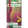 W.Legutko Digitalis purpurea miscela