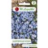 W.Legutko Nontiscordardime alpino - blu