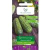 W.Legutko Cetriolo da conserva e da sottaceto Wisconsin SMR 58