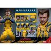 Hot Toys Movie Masterpiece Deadpool & Wolverine Wolverine 1/6 Scale Collectible