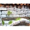 menta-modellbau 250 mattoncini rettangolari in rovina per costruzione di presepi, ferrovia da giardino LGB ecc.