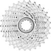 Campagnolo Chorus Pacco Pignoni, Argento, 12 - 29