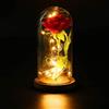 Wisdom Campana decorativa Rosa eterna illuminata da MicroLed Bianco Caldo a batteria Wisdom