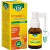 ESI - Propolaid Spray Gola alla Menta, Integratore Alimentare con Propolis, Favorisce il Benessere del Cavo Orale e delle Vie Respiratorie, Senza Glutine, Alcool e Vegetariano, 20 ml