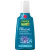 Rausch Ag Kreuzlingen Rausch Shampoo Trattante Genz