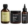 Shampissima Professional, Routine Completa Capelli Grassi, Scrub Cuoio Capelluto 300 ml, Shampoo Seboregolatore 250 ml e Lozione Riequilibrante 100 ml, Ideale per Cute Grassa