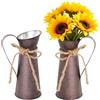 Ruikcoll Set di 2 vasi decorativi vintage in metallo, decorazione per la cucina, il latte può essere brocca, vasi, decorazioni in stile rustico, per soggiorno, matrimoni, feste e uffici, colore marrone