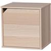 Iris Ohyama, Armadio in legno/risparmio di spazio/mensola in legno/unità di archiviazione/armadietto, Combinazione impilabile e flessibile, Ufficio, Casa - QR Box with Door - QR-34D - Marrone