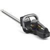 Alpina AHT 20 Li Kit Tagliasiepi a Batteria, 20 V, 70 cm - Batteria 2 Ah + Caric., Doppio Taglio, Peso 2,2 kg - Giardini domestici
