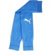 PUMA teamGOAL - Calzini con maniche
