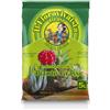 Euroterriflora Terriccio per Piante Grasse Specifico per Cactacee e Piante Succulente - 5 lt