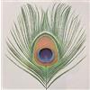 Galileo Music Communication Apple Venus (Vol.1)