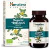 Himalaya Tribulus organico (Gokshura) per la salute maschile, libido, supporto urinario, resistenza, energia, 688 mg, fornitura per 2 mesi, 60 capsule