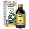 Dr. Giorgini Prugnolo Giorgini 100 Ml Gemmo 10+ Integratore Analcolico
