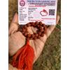 CERTIFICATO IN LABORATORIO Naturale 5 Mukhi RUDRAKSHA Rudraksh Mala ROSARIO 2...