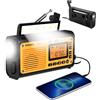 XHDATA D-608WB Radio FM/Am/SW a Onde Corte, Manovella Solare, Batteria Ricaricabile di Emergenza, Radio Sveglia SOS, Lettore MP3 Bluetooth, Torcia Elettrica, Lampada da Lettura per il Campeggio