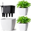 T4U Set da 3 Vaso Autoirriganti 13 cm Quadrati con Indicatore dell'Acqua, Vaso per Piante da Interno per Principianti e Persone Impegnate, Vasi per Edera e Pothos, Uso Interno ed Esterno (Bianco)