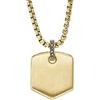 Fossil Collana con ciondolo a farfalla in acciaio inossidabile tono oro da uomo con chiusura a moschettone, Oro brillante