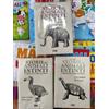 STORIE DI ANIMALI ESTINTI + ALTRE + NUOVE scomparsi terra Dynit manga completa