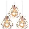 TOKIUS Lampada da Soffitto E27 Vintage Plafoniera Soffitto Industriale Metallo Gabbia ferro Lampada a Sospensione per Corridoio Camera da Letto Soggiorno,Rame (L-3)