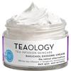 Teaology Bakuchiol Exosome Cream The retinol alternative