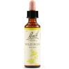 SCHWABE PHARMA ITALIA Srl BACH 37 Wild Rose 20ml