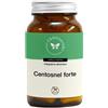 CENTO FIORI Srl CENTOSNEL FORTE 100CPS VEG