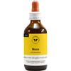 CENTO FIORI Srl NOCE GEMME 100ML MG