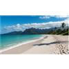 Sharp MultiSync UN553S Display videowall da 55 pollici
