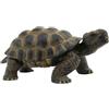 Bullyland 63553 - Selvaggi - Tartaruga