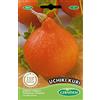 Germisem Uchiki Kuri Semi di Zucca 2 g